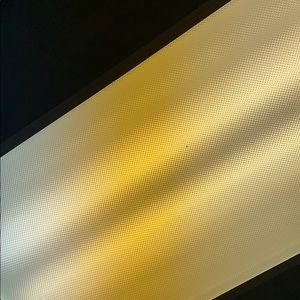 Meet your Posher, Harrison